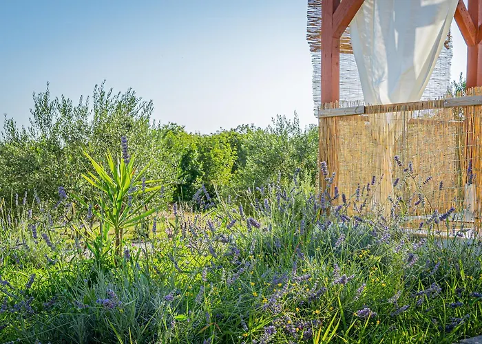 Kuca Za Odmor Cvitka Апартаменты *