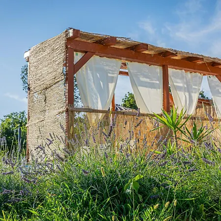 Kuca Za Odmor Cvitka * Slivnica