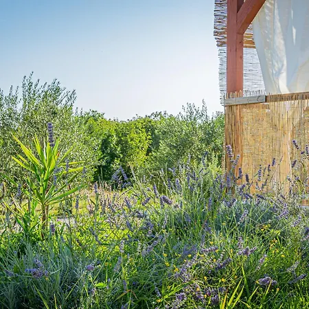 Kuca Za Odmor Cvitka Lejlighed *